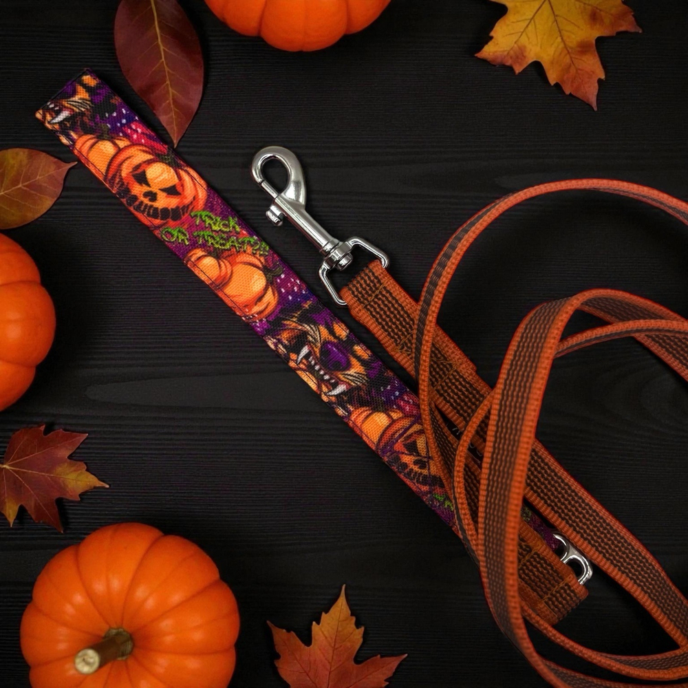 Поводок Pawmpkin, оранжевый