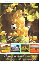 Теннис на футбольном поле Молдавский навес...