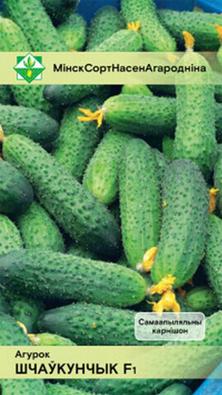 Огурец "Щелкунчик F1" 7шт, Молдова.