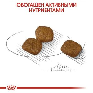 Корм для собак, Royal Canin Mini Coat Care, с тусклой и сухой шерстью