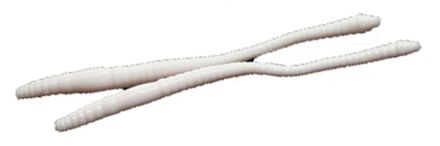 Приманка Libra Lures Dying Worm 80 (001) (Сыр) (8.0см) 12 шт. DW80-C-001