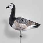 Белощекая казарка Duck Mania "ELITE"
