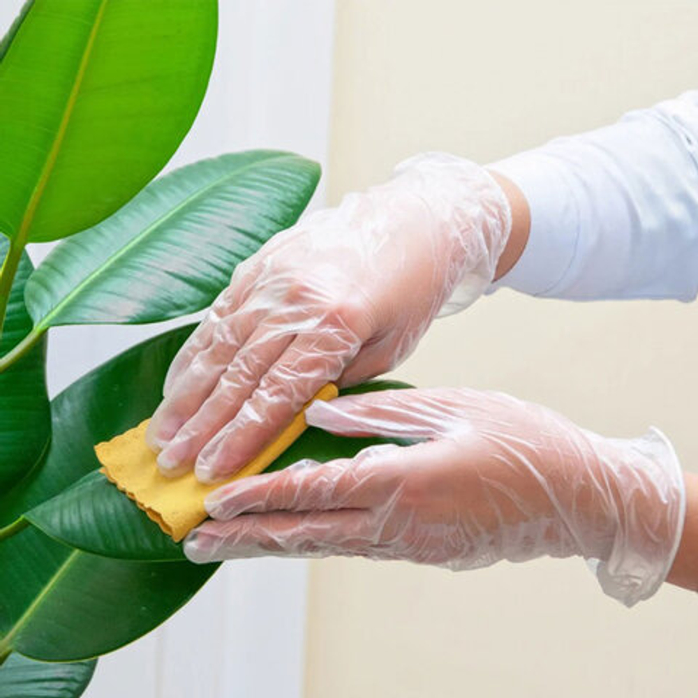 Перчатки виниловые, КОМПЛЕКТ 50 пар (100 штук), ПРОЧНЫЕ, прозрачные, размер М (средний), AVIORA, 402-638