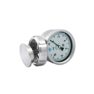 Манометр RChG 100 25 Bar с разделителем РОСМА 15712