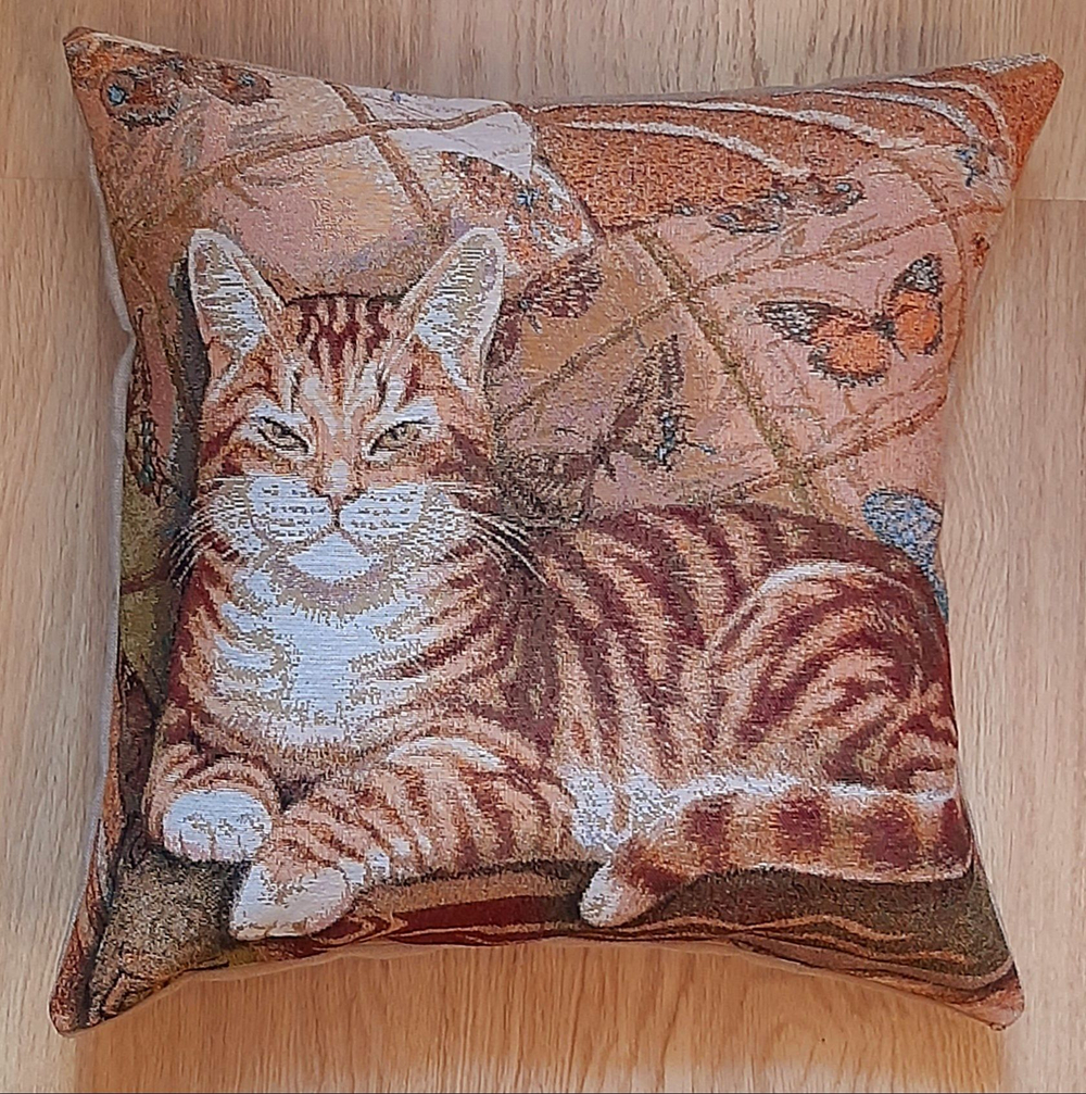 Декоративный гобеленовый чехол для интерьерной подушки Вася 47*47