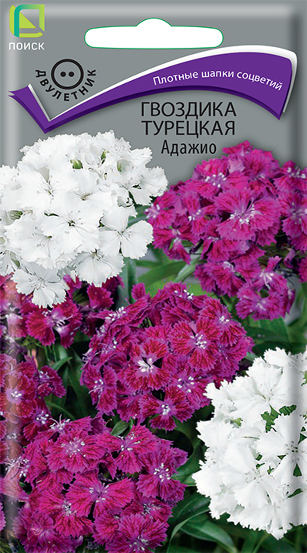 Гвоздика Турецкая Адажио