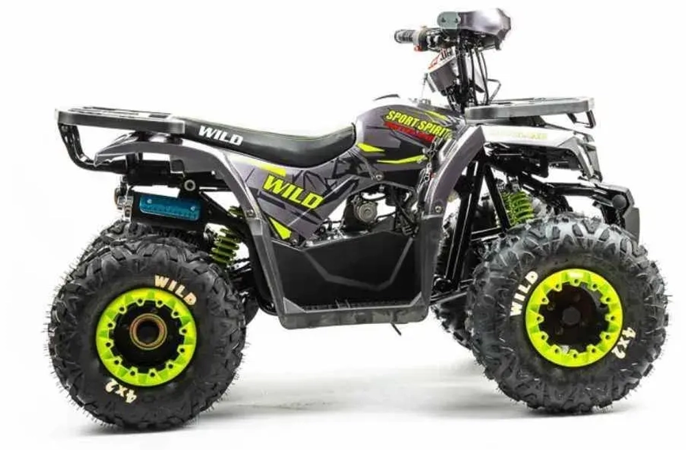 Квадроцикл Motoland 125 WILD (2020 г.)