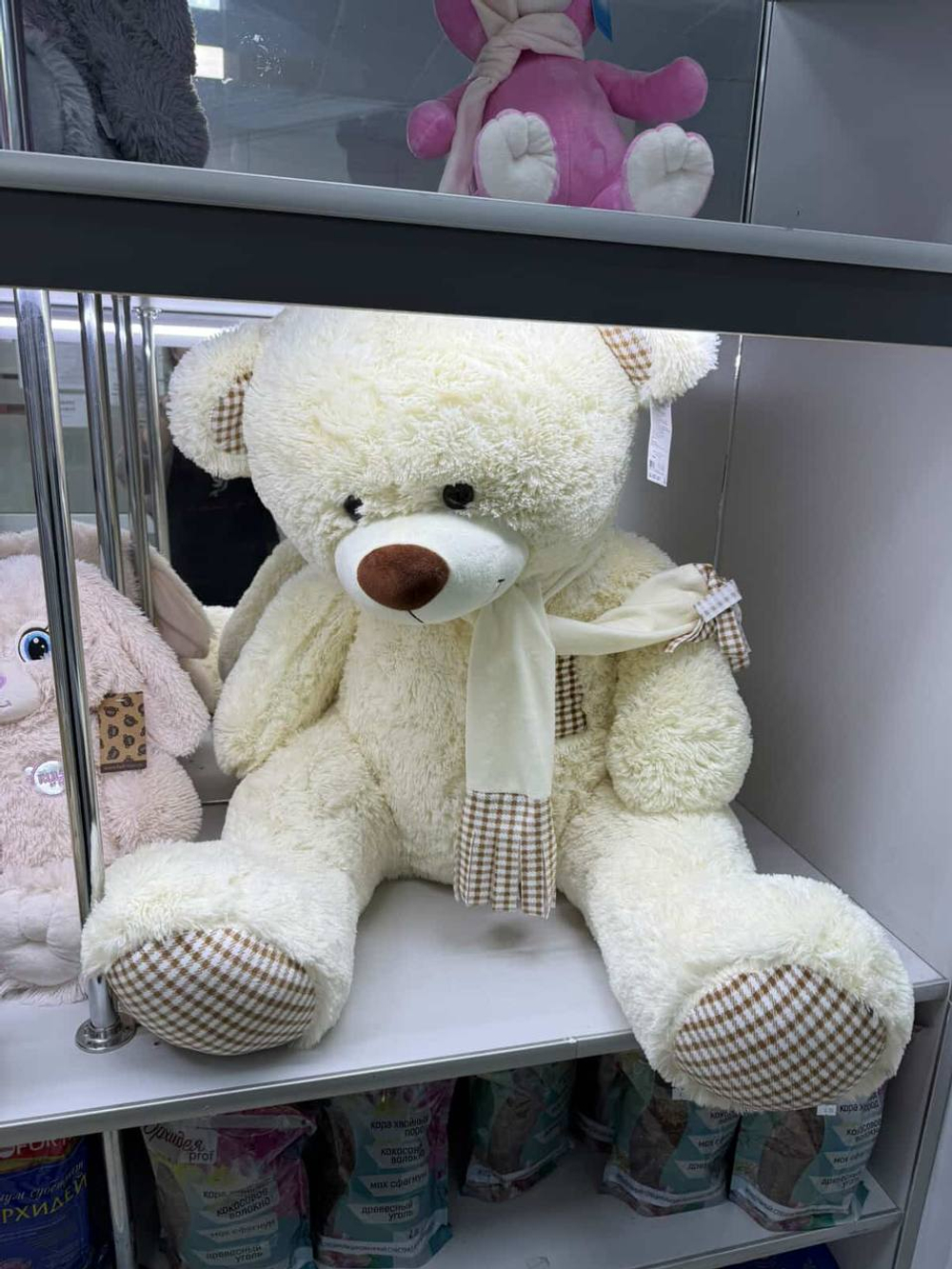 Предоплата Jesus