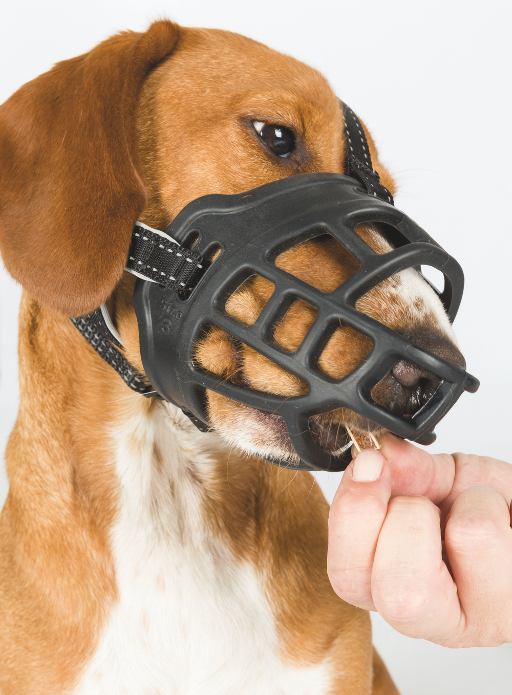 Намордник для собак Trixie Muzzle Flex, размер 3