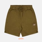  Шорты мужские Dickies Pelican Rapids Short  артикул:DK0A4XB2DKO1 - купить в магазине Дайс