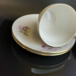 Чайные пары набор на 4 персоны фарфор, изящные цветы, Wloclawek porcelana, золочение, винтаж Польша, времён СССР 1967-1973 гг