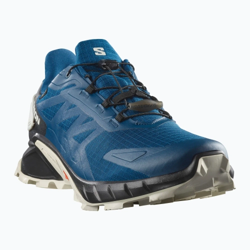 Кроссовки для бега Salomon Alphaglide GTX black/asphalt/black