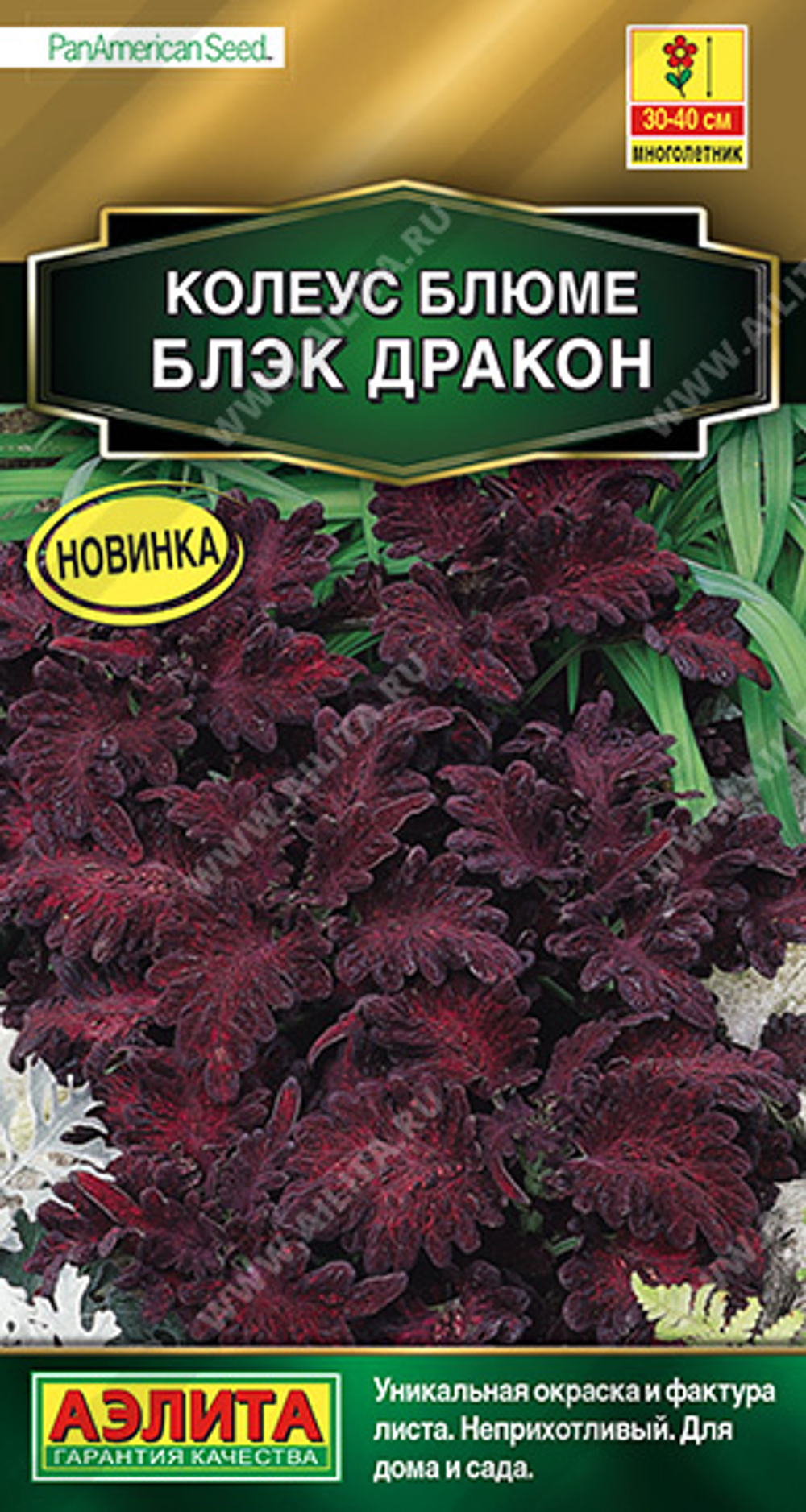 Колеус блюме Блэк дракон 5 шт (Аэлита)