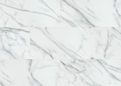 FS 04001 VENATO