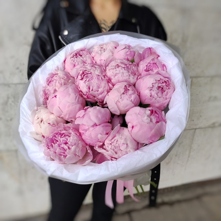 15 пионов сорта "Сара Бернар" в "облачке"