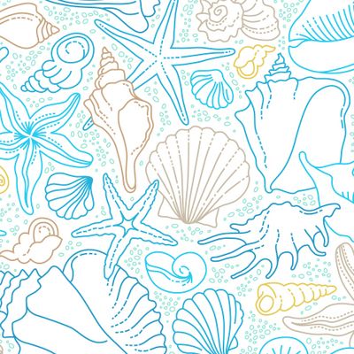 На пляже. Морские звезды, раковины, ракушки, песок, море...