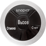Кнопка вызова iKnopka APE330
