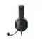 Razer Blackshark V2 Special Edition + USB Mic Enhancer Green/Black