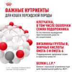Royal Canin Persian Adult Персиан Эдалт Корм сухой для взрослых кошек породы персидская от 12 месяцев 4кг