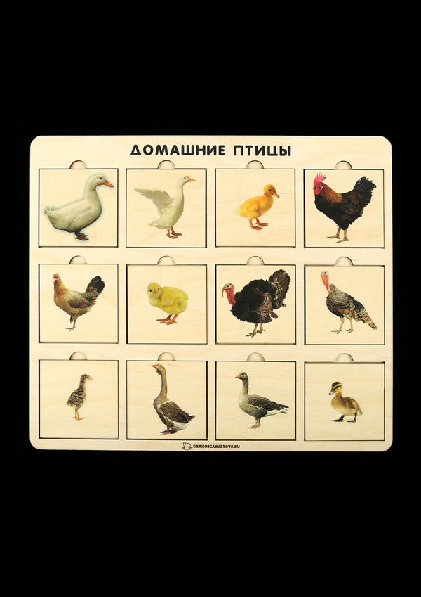 Игровое пособие 