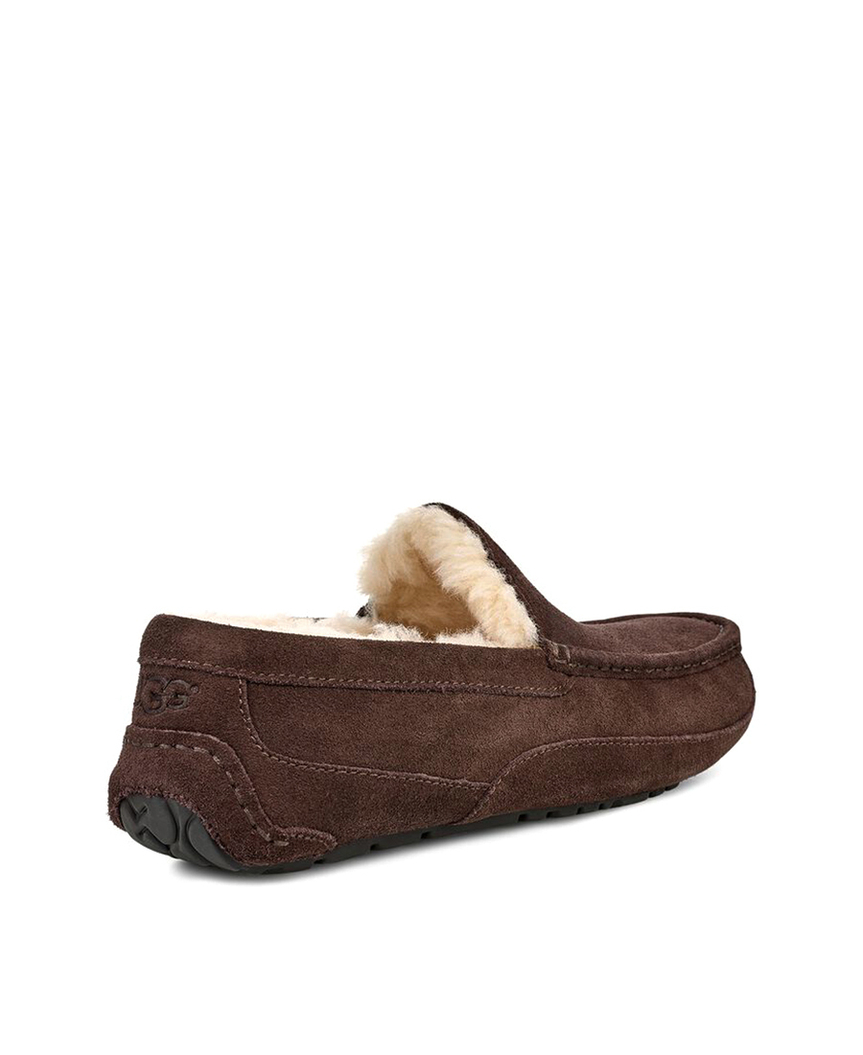 ASCOT MENS chocolate