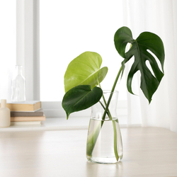 IKEA KARAFF  (ИКЕА КАРАФФ)  -  Графин, прозрачное стекло, 1,0 л