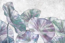 Коллекция Grafika Natura