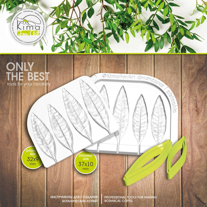 Фисташка листья