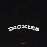  Футболка мужская Dickies Outdoor артикул:DK0A4Z8PBLK1 - купить в магазине Дайс