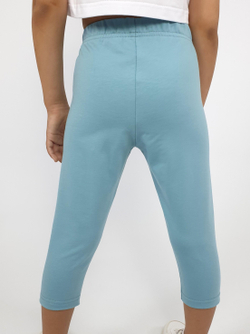 17-43-4 Бриджи для девочки