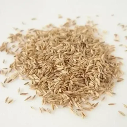 Семена мятлика лугового 300г.