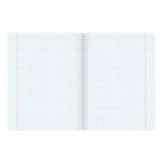 Тетрадь А5, 48 л., BRAUBERG ЭКО, клетка, обложка картон, КОШЕЧКИ, 403023