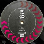 Peter Gabriel / Up (3LP)