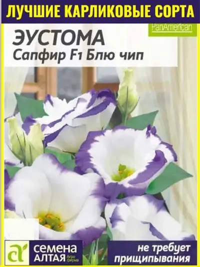 Семена Эустома Сапфир F1 Блю_чип