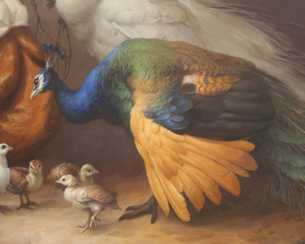 Павлины с птенцами