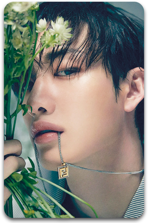 Карта / STRAY KIDS #1406