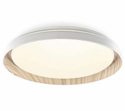 Накладной светильник Citilux MEGA CL752352G