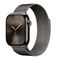 Часы Apple Watch Series 10 42mm Slate Titanium Case, Milano Loop (Slate)