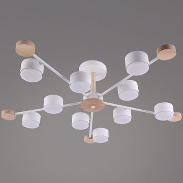 03751-0.3-10 WT+WOOD GX53 светильник потолочный