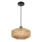 Подвесной светильник Arte Lamp BRUSHWOOD A7087SP-1BK