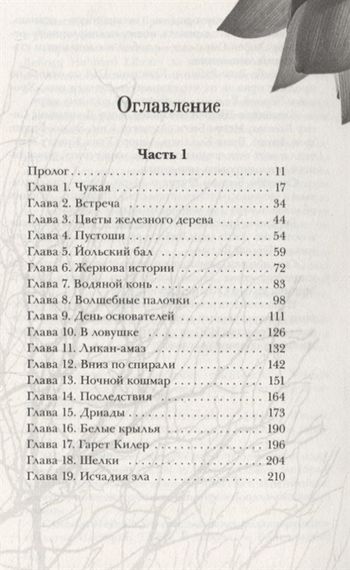 Хроники Черной Ведьмы. Книга 2. Железный цветок