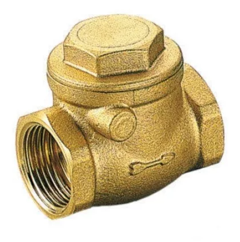 Клапан обратный 25 (1") лепестковый