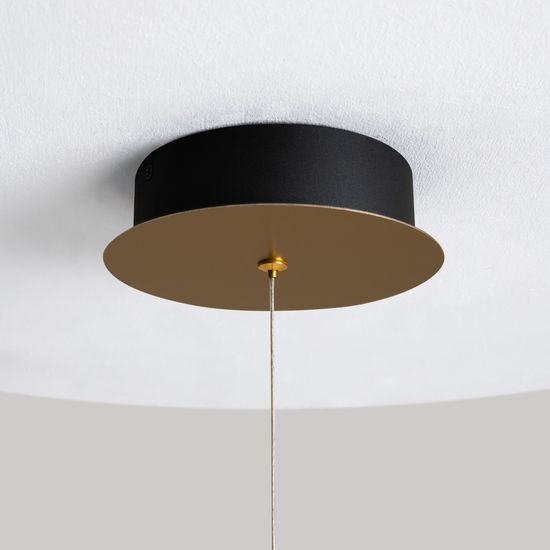 Подвесной светильник Maytoni MOD361PL-L22BS3K