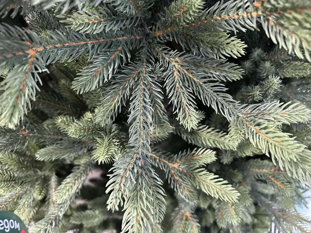 Ель искусственная «Тибетская» (Литая хвоя) от 1,8 м до 2,4 м