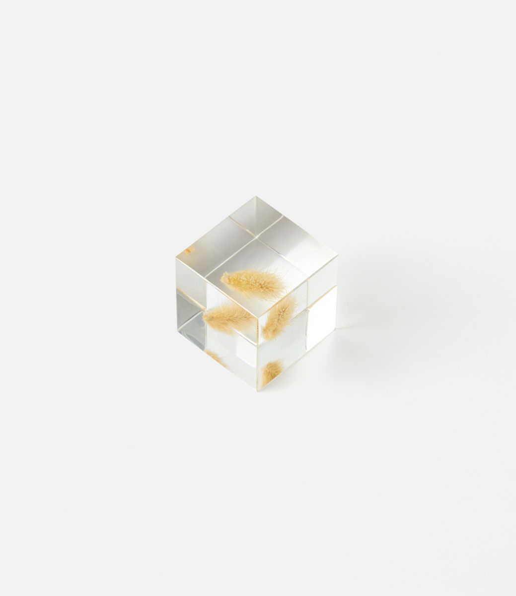 Sola Cube Bunny Tail Grass — куб из акриловой смолы