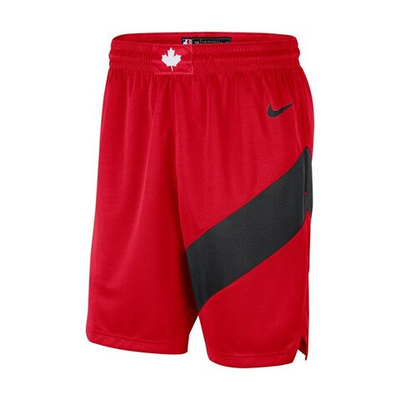 Шорты Nike Toronto Raptors Swingman Shorts Road Shorts