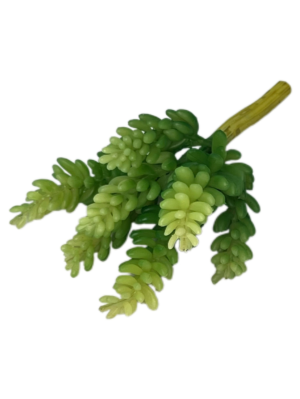 Суккулент 118 зеленый