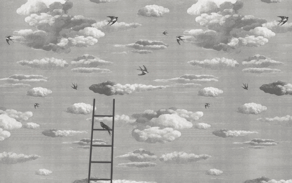 Коллекция Небо