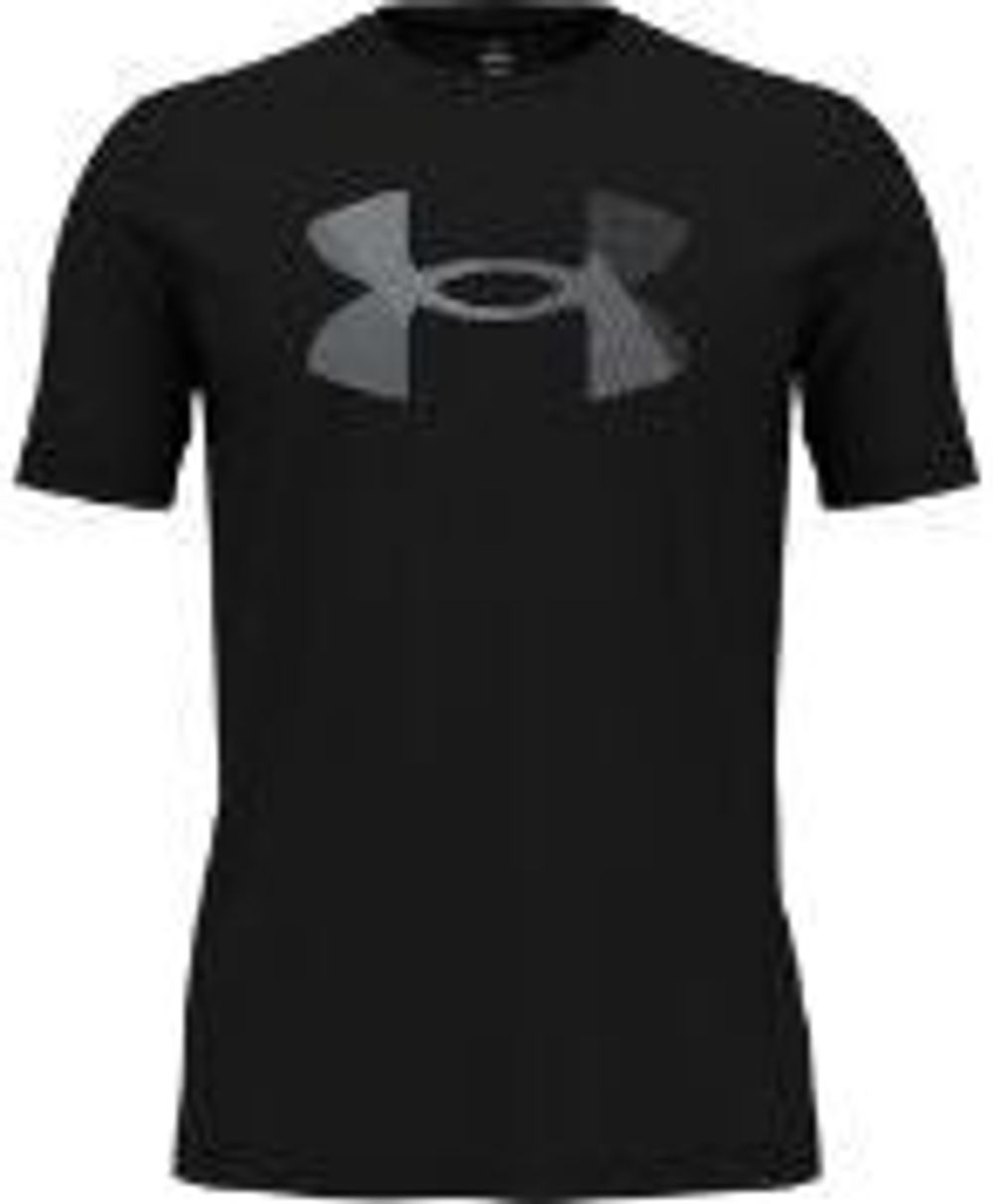 Футболка UA BIG LOGO FILL SS