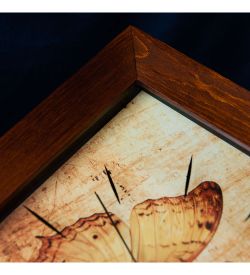 Салют SLT-136 Часы настенные «БАБОЧКА»